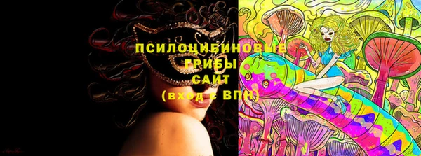 spice Алексеевка