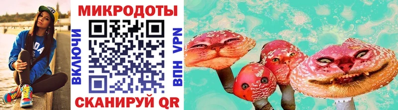 kraken вход Оса Псилоцибиновые грибы мухоморы